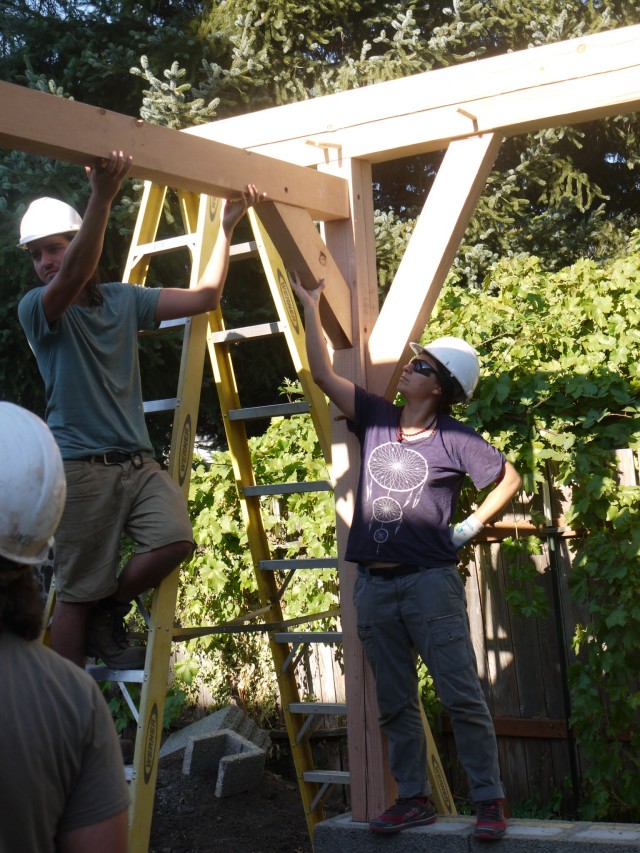 Apparently under the impression that I am holding up the entire timber frame