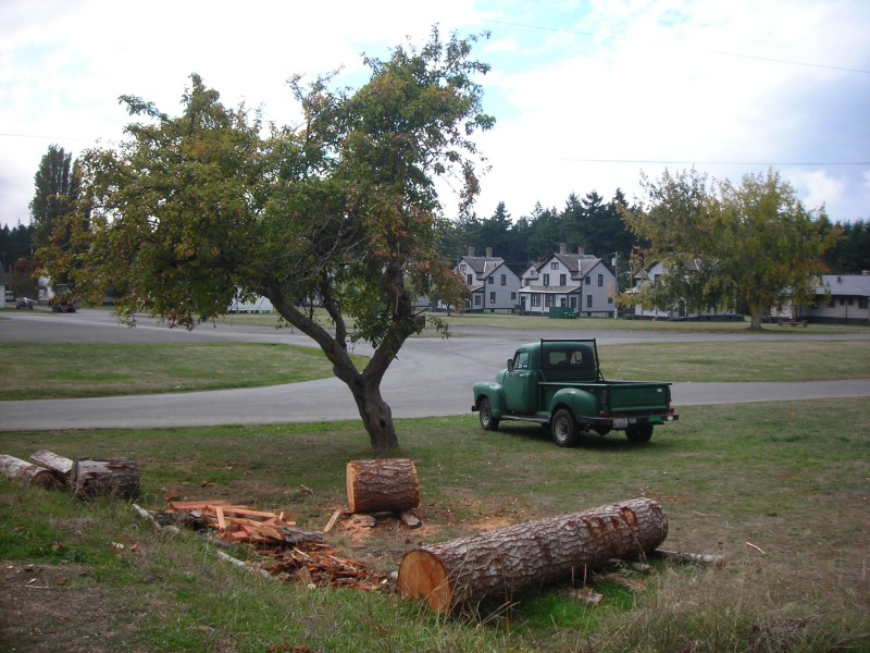 the scene outside the woodshop